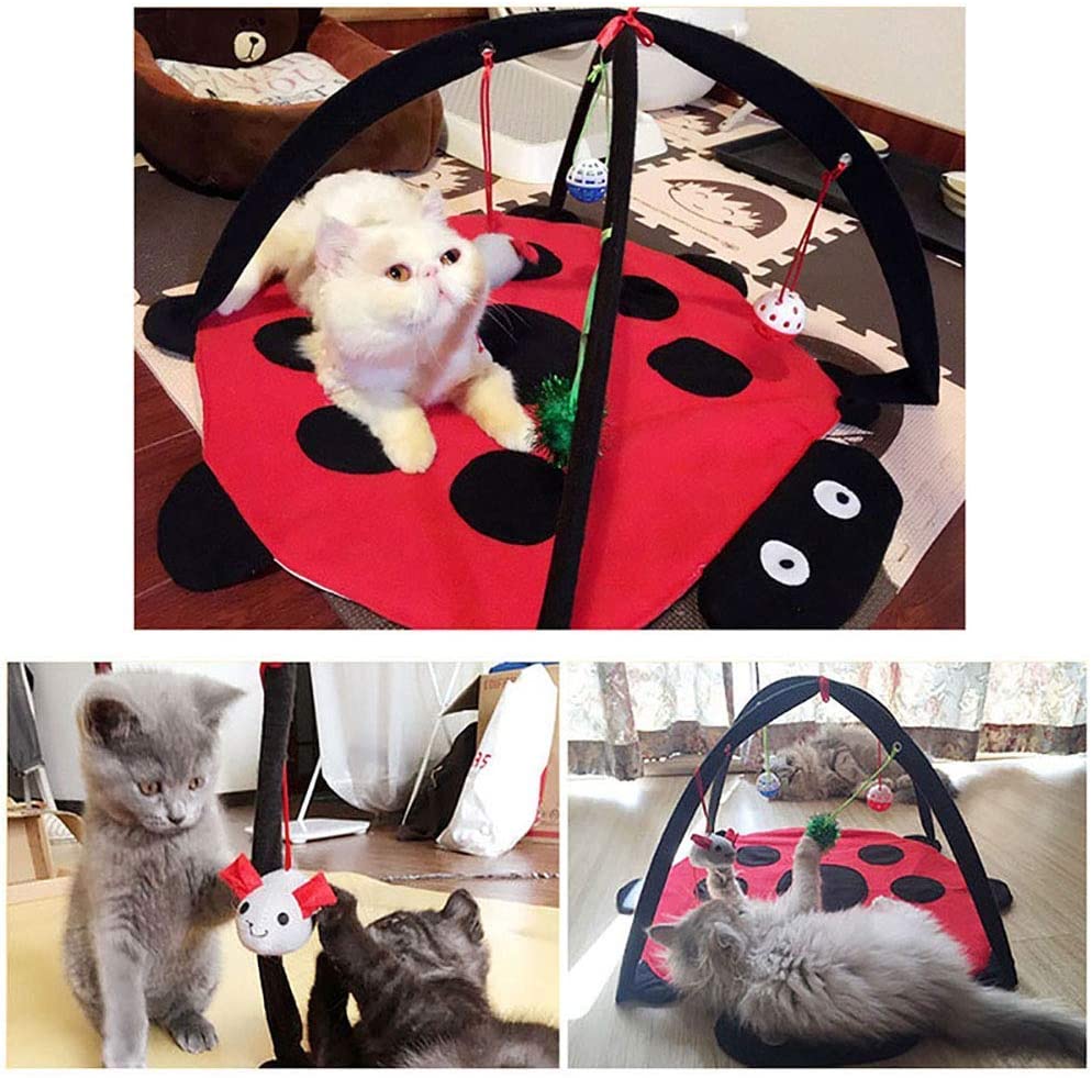 Black Ladybug Cat Play Mat