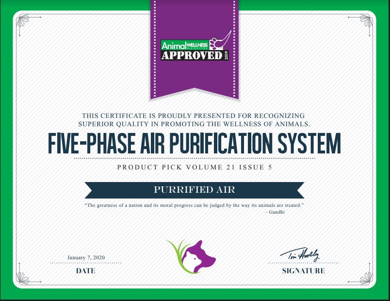 Air Purifier + Wall Mount / Table Top Bracket Bundle